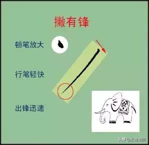 小学老师用这些比喻教书法，创意不错-6.jpg