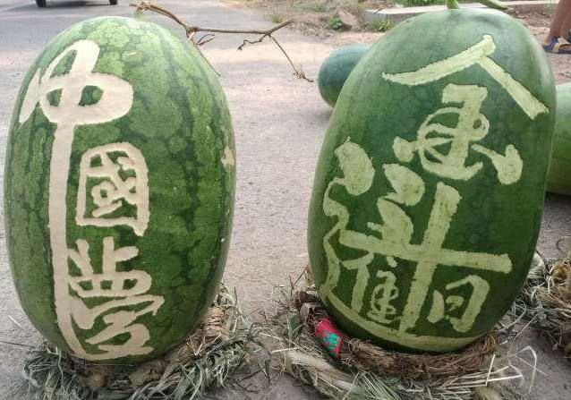 在西瓜写书法走红网络，10天卖了7000斤，网友称很有新意-4.jpg
