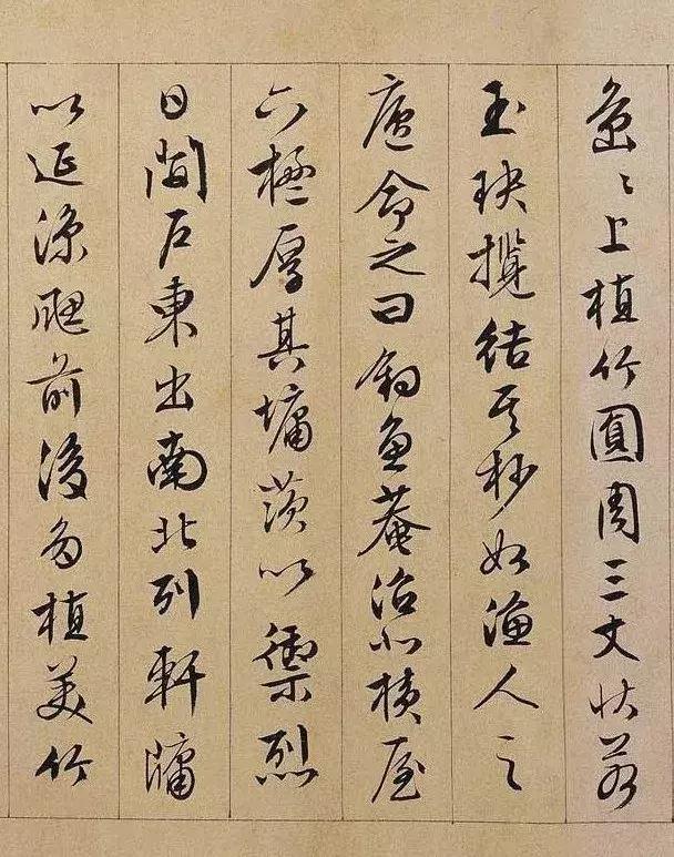 最美的文，遇到最美的字-5.jpg
