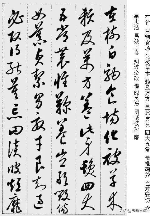 值得收藏学习的书法作品，启功《草书千字文》附释字-4.jpg
