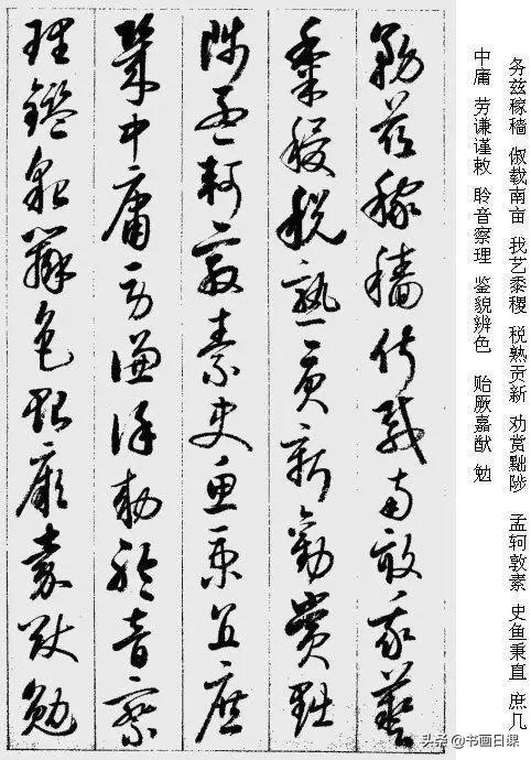 值得收藏学习的书法作品，启功《草书千字文》附释字-14.jpg