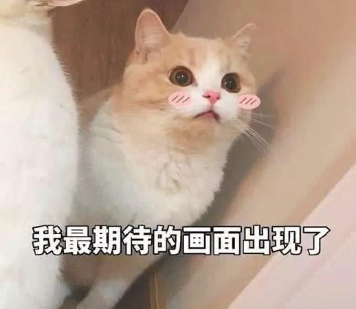 震撼！福清千人书画大赛上演......-19.jpg