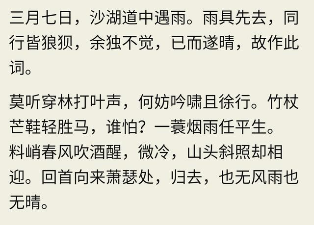 定风波  一蓑烟雨任平生 王伟书法佳作系列之一百-4.jpg