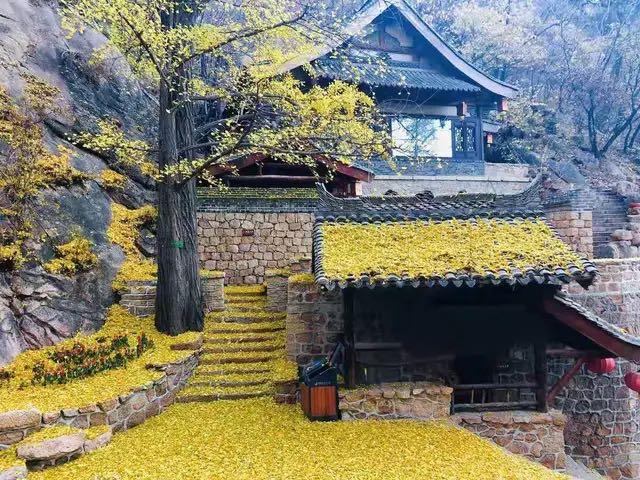 临《圣教序》节选   诗人书法家王伟书法佳作  之一百五十六-13.jpg