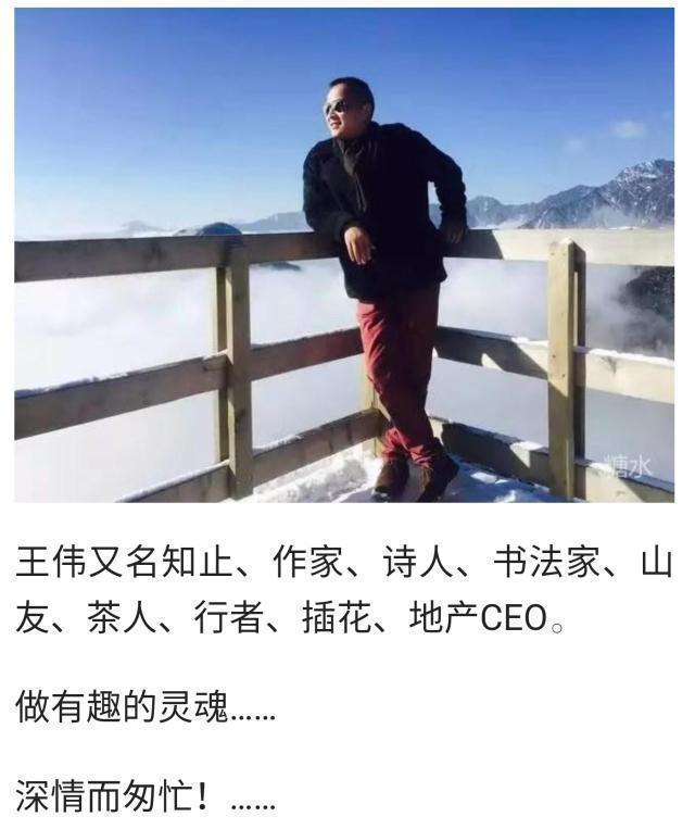 蜀道难  诗人书法家王伟书法作品  之一百六十二-8.jpg