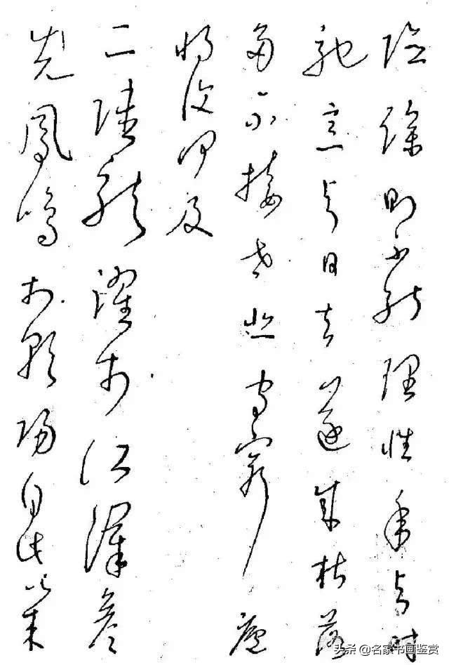 林散之、赵朴初、沈鹏等名家的硬笔字-22.jpg