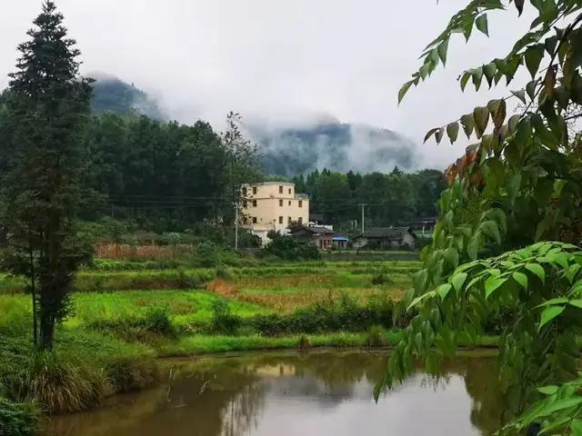远方之远   故乡 诗人书法家王伟诗歌书法佳作  之一百七十一-19.jpg