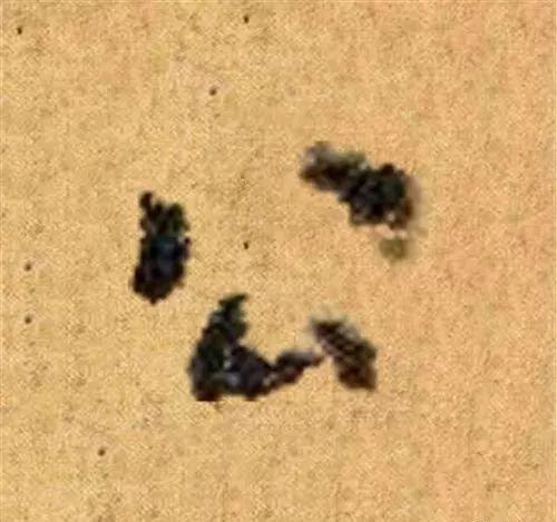 这四十三个字，据传为柳公权唯一真迹，世称神品-43.jpg