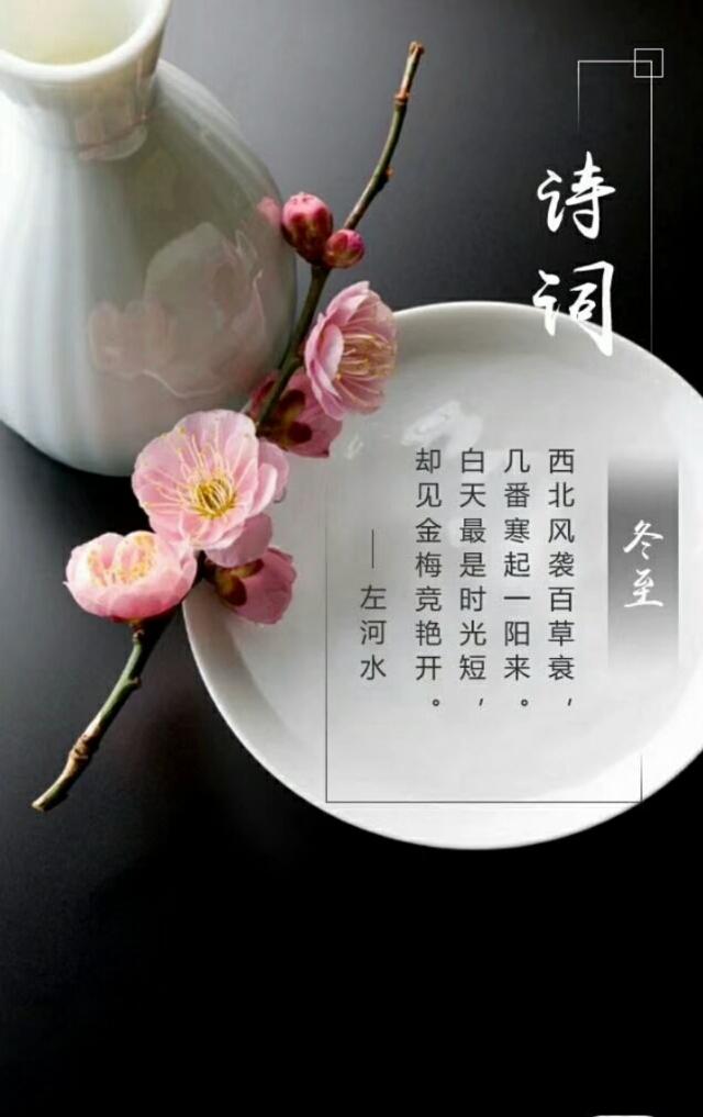 凤凰舞九天   知止赋   诗人书法家王伟书法佳作  之一百九十七-17.jpg