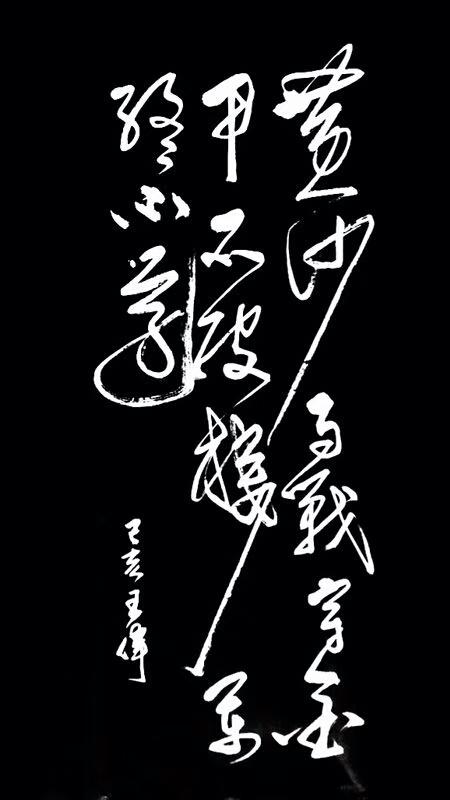 如果我在四川遇见你  诗人书法家 王伟书法佳作欣赏之二百一十一-15.jpg