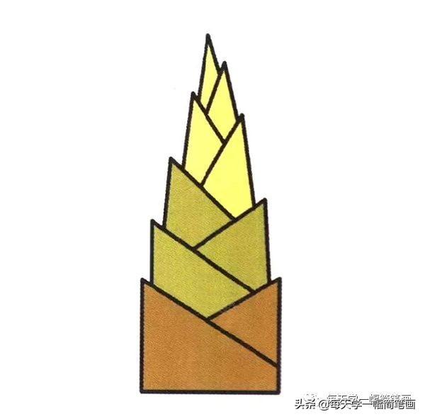 每天学一幅简笔画--简单的竹笋简笔画步骤图解教程-6.jpg
