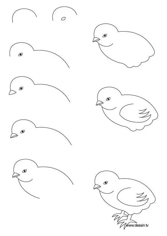 速收藏：带步骤简笔画小教程，适合儿童画-13.jpg