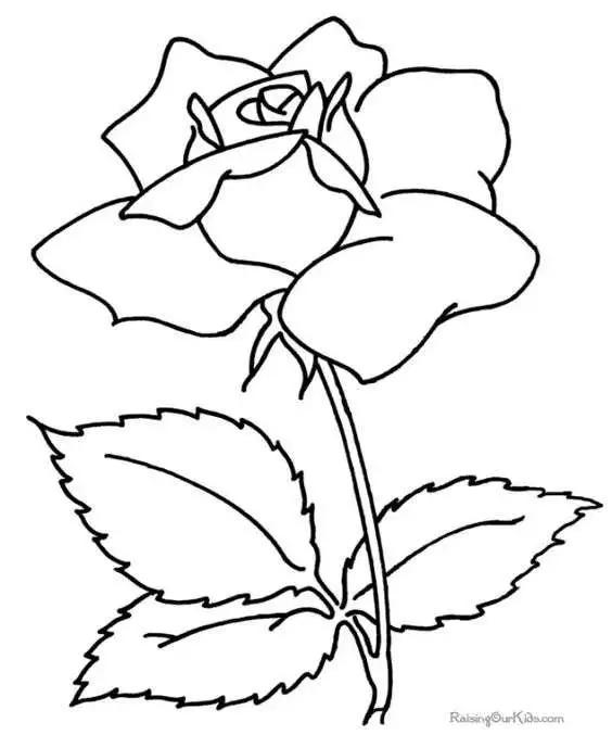 既简单，有详细的简笔画教程，拿去学画-27.jpg