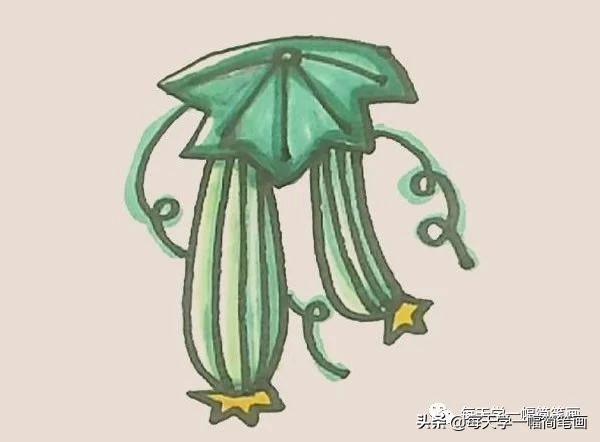 每天学一幅简笔画--丝瓜简笔画的画法步骤图解教程-8.jpg