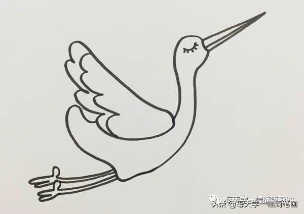 每天学一幅简笔画--仙鹤简笔画步骤图解教程-4.jpg