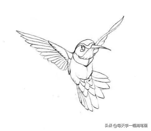 每天学一幅简笔画--2000个手帐绘画小素材，够你画一整年的了-66.jpg