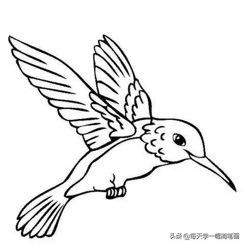 每天学一幅简笔画--2000个手帐绘画小素材，够你画一整年的了-65.jpg