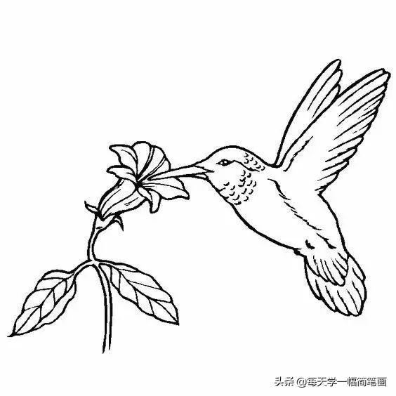 每天学一幅简笔画--2000个手帐绘画小素材，够你画一整年的了-71.jpg