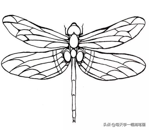 每天学一幅简笔画--2000个手帐绘画小素材，够你画一整年的了-75.jpg