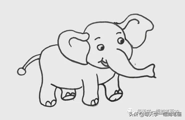 每天学一幅简笔画--可爱大象简笔画画法步骤图片-4.jpg