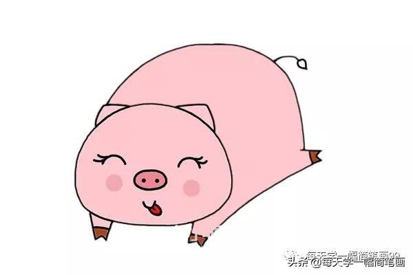 每天学一幅简笔画--可爱的小猪简笔画步骤画法图片教程-6.jpg