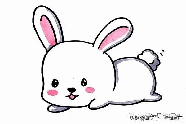 每天学一幅简笔画--可爱简笔画兔子的画法步骤图片-5.jpg