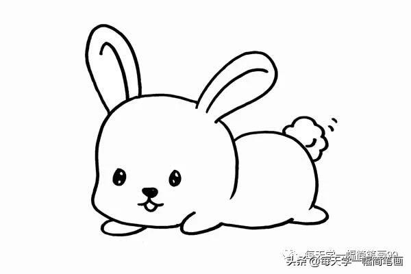 每天学一幅简笔画--可爱简笔画兔子的画法步骤图片-4.jpg