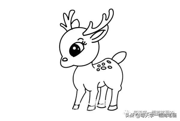 每天学一幅简笔画--漂亮的小鹿简笔画画法步骤教程-6.jpg