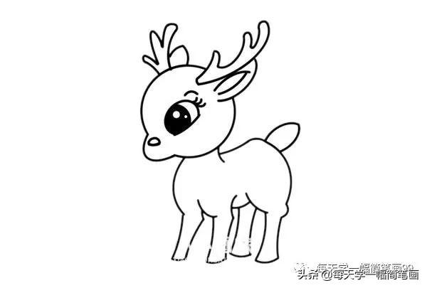 每天学一幅简笔画--漂亮的小鹿简笔画画法步骤教程-5.jpg