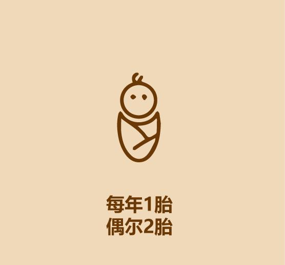 秒懂穿山甲-9.jpg