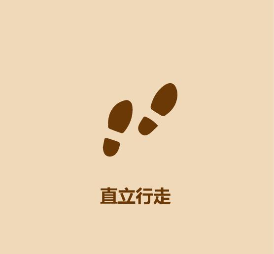 30秒认识穿山甲-8.jpg