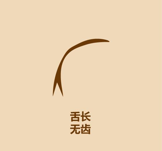 30秒认识穿山甲-7.jpg