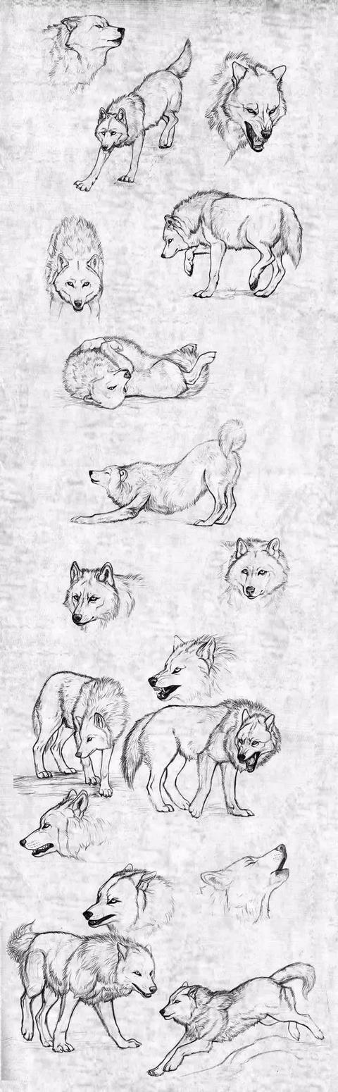 500个简笔画教程，一学就会！-13.jpg