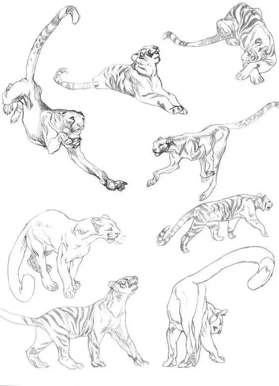 500个简笔画教程，一学就会！-21.jpg