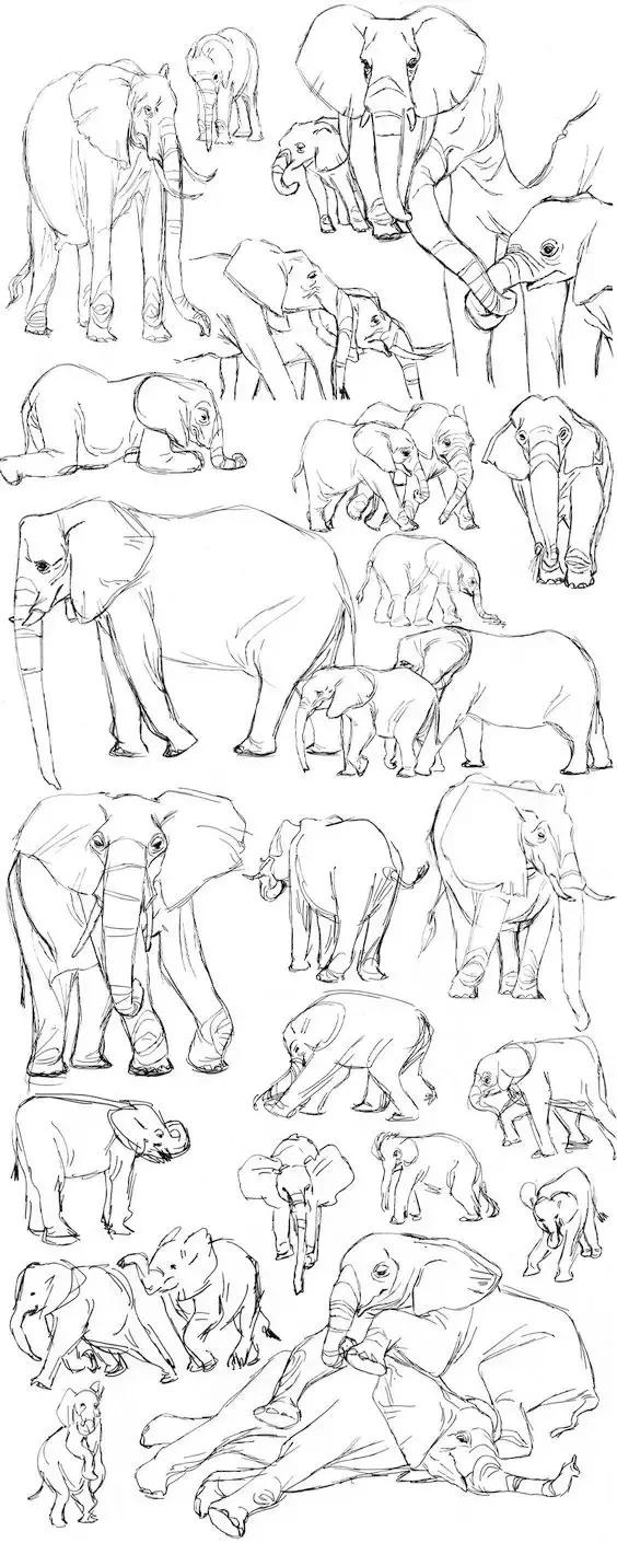 500个简笔画教程，一学就会！-27.jpg