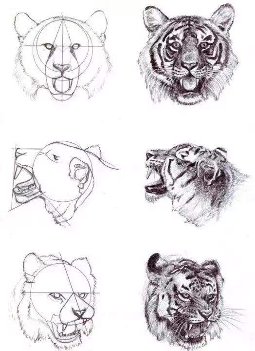 500个简笔画教程，一学就会！-24.jpg