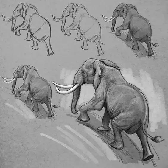 500个简笔画教程，一学就会！-31.jpg
