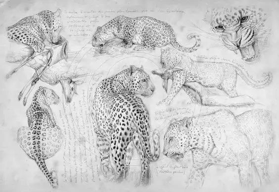 500个简笔画教程，一学就会！-35.jpg