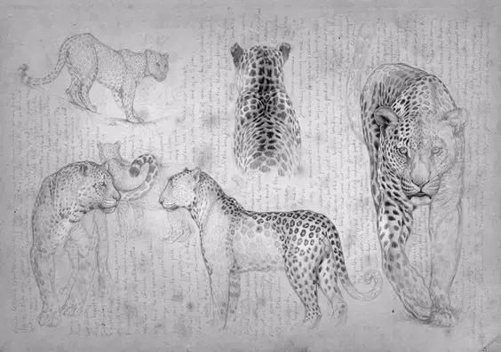 500个简笔画教程，一学就会！-42.jpg