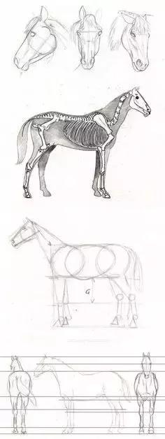 500个简笔画教程，一学就会！-64.jpg