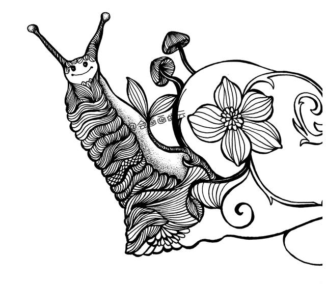 零基础画简笔画，一只可爱的线描蜗牛-6.jpg