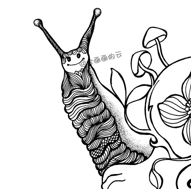 零基础画简笔画，一只可爱的线描蜗牛-5.jpg