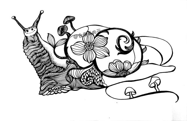 零基础画简笔画，一只可爱的线描蜗牛-8.jpg