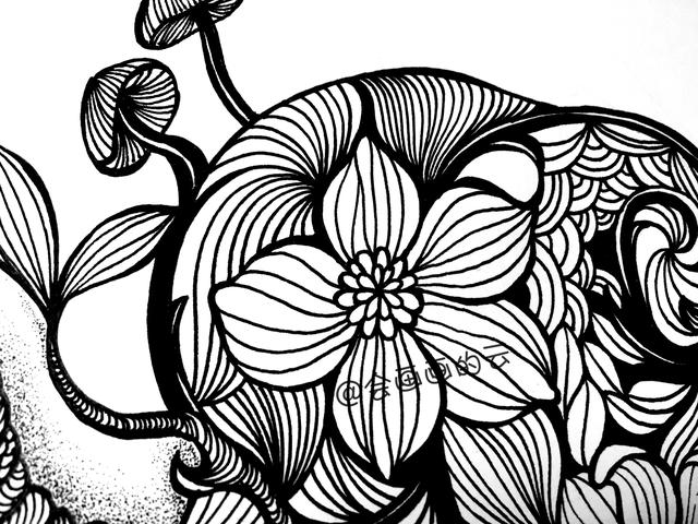 零基础画简笔画，一只可爱的线描蜗牛-13.jpg