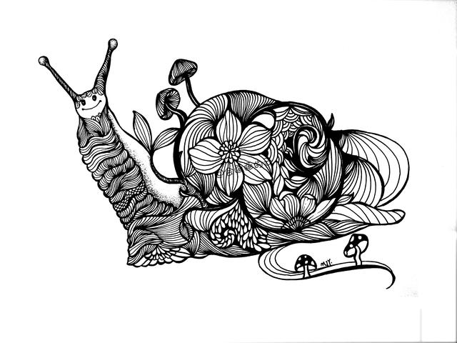 零基础画简笔画，一只可爱的线描蜗牛-12.jpg