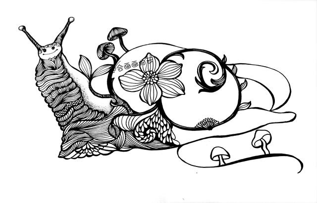 零基础画简笔画，一只可爱的线描蜗牛-7.jpg
