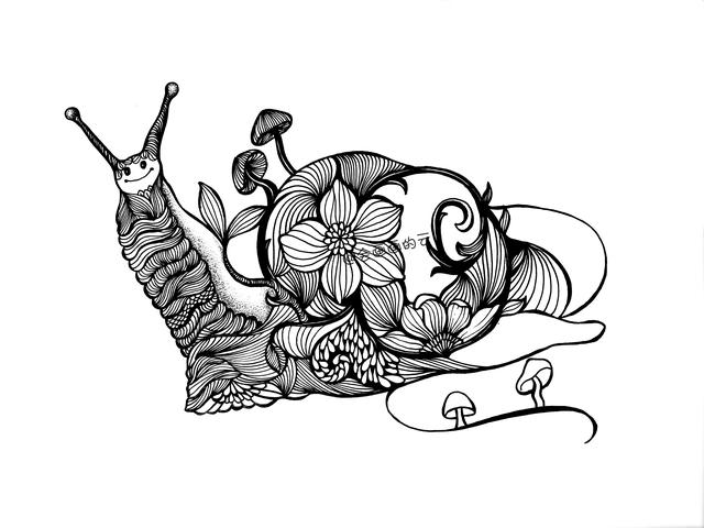 零基础画简笔画，一只可爱的线描蜗牛-9.jpg