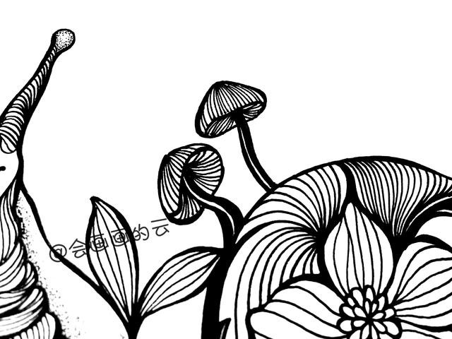 零基础画简笔画，一只可爱的线描蜗牛-15.jpg