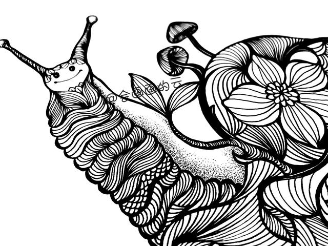 零基础画简笔画，一只可爱的线描蜗牛-14.jpg