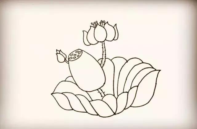 零基础入门，教你超简单的花朵简笔画-11.jpg